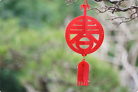 Wishing you a happy Spring Festival, all the best, and a happy family!